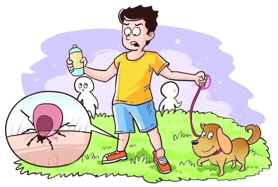 image image.png